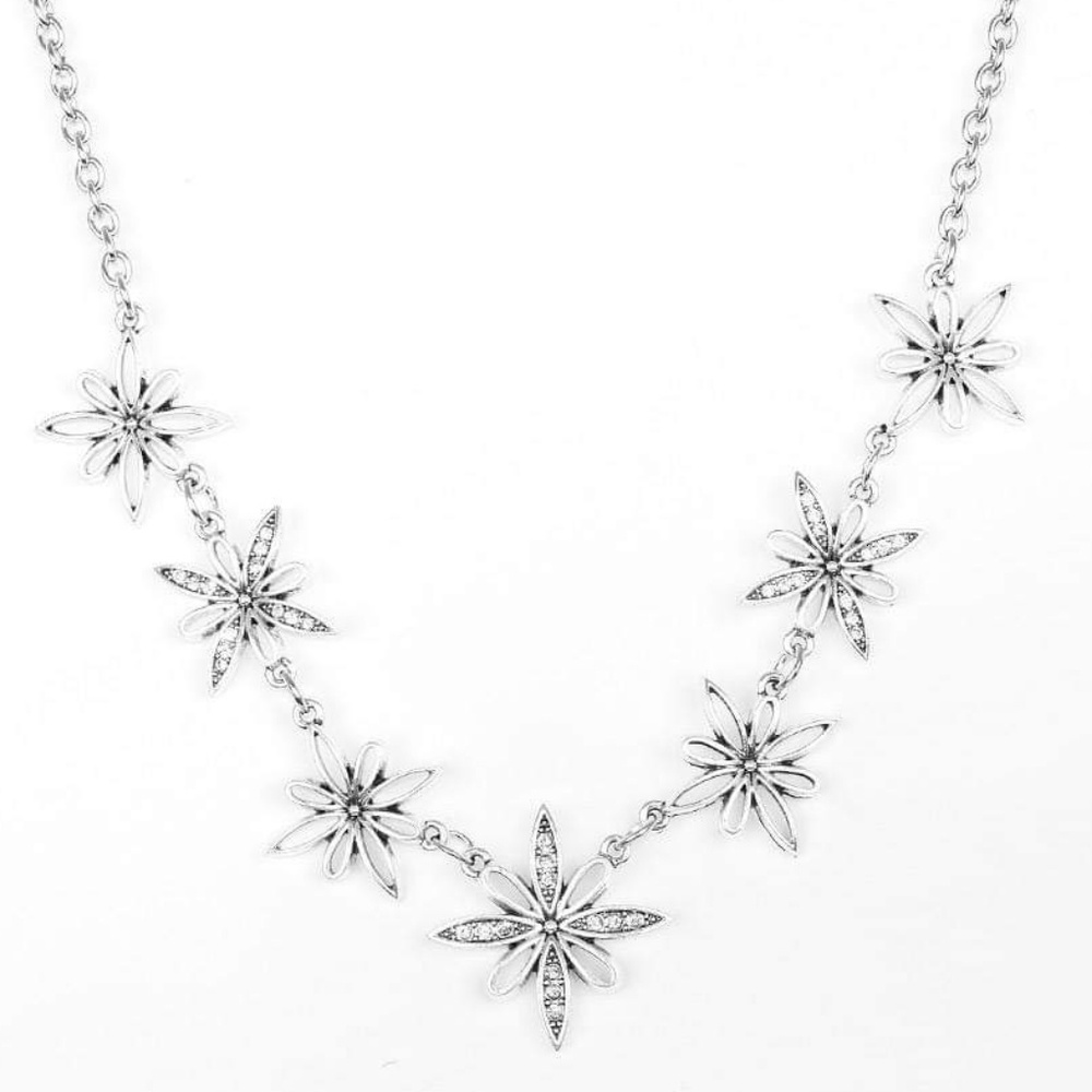 Paparazzi Accessories